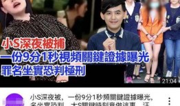 台湾疯狂爆料视频大全,视频大全背后的真相与争议